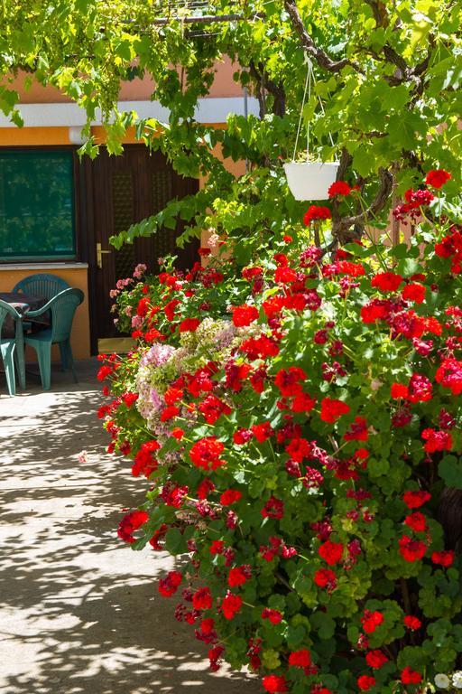Apartments Stefanovski Paradiso Veli Lošinj Pokoj fotografie